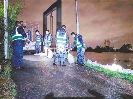 臺山市人武部出動34人分別前往水步鎮(zhèn)岡寧、密沖兩個(gè)村開展堤防加固及清障工作。