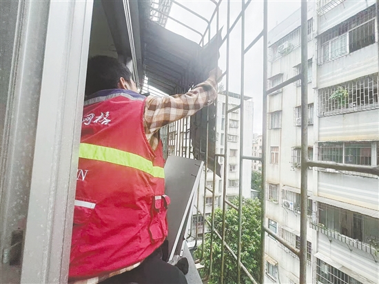 蓬江區(qū)育德社區(qū)網(wǎng)格員協(xié)助屋主及時(shí)將松動的鐵皮擋雨板拆下，消除安全隱患。任佳燕