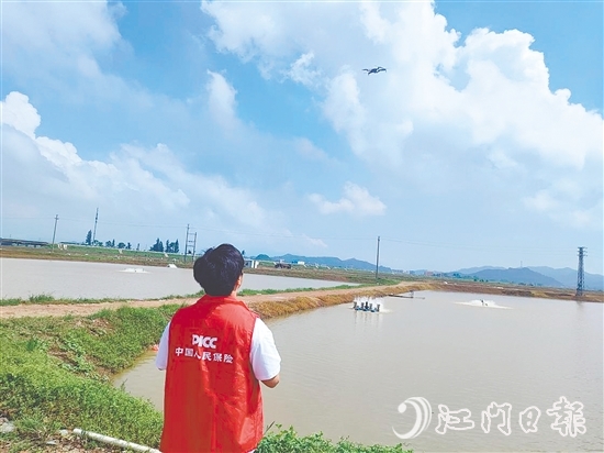 江門(mén)人保財(cái)險(xiǎn)工作人員現(xiàn)場(chǎng)開(kāi)展前置性風(fēng)險(xiǎn)排查與防護(hù)指導(dǎo)。