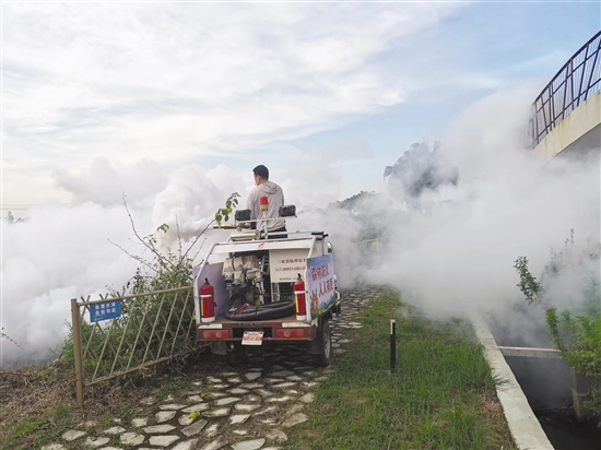 開平市塘口鎮(zhèn)通過多種方式應用煙霧機滅蚊。圖為煙霧機搭配農(nóng)用車對蚊蟲進行滅殺。