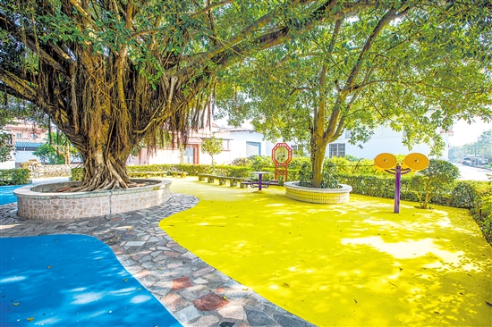 鶴山推動村居小公園環(huán)境整治，為群眾提供舒適的生活環(huán)境。圖為位于桃源鎮(zhèn)的一處口袋公園。