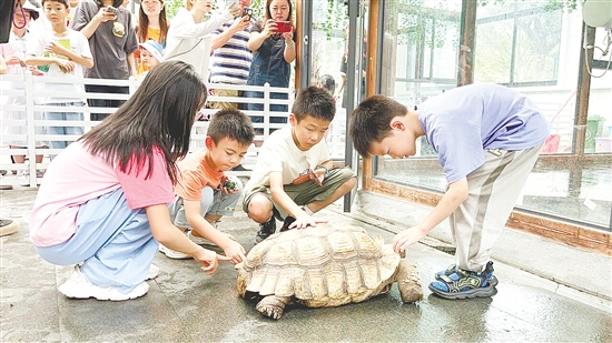 福倫文旅龜博園是嶺南地區(qū)首個以龜文化為主題的文旅博覽園。
