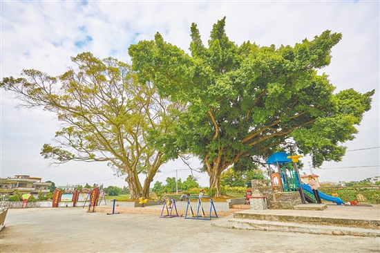 沙沖村完善基礎設施建設，為村民營造更舒適的休閑空間。
