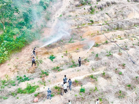 大江鎮(zhèn)在石橋坑尾村組織開展森林防滅火應(yīng)急演練，以實戰(zhàn)筑牢安全防線。