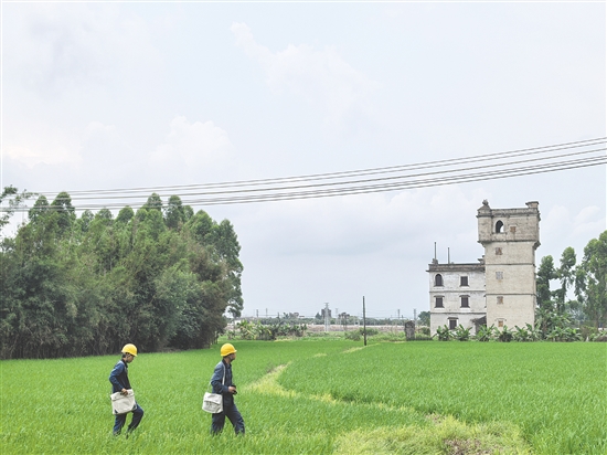 旅游旺季來(lái)臨前，開(kāi)平供電局加強(qiáng)文旅重鎮(zhèn)值班值守，保障用電安全。陳小騫