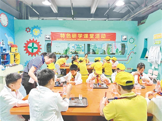 每個學期，交貝石小學都會組織學生參加特色研學活動。