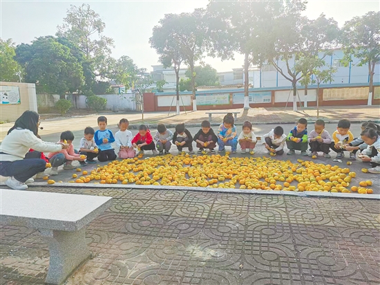 孩子們將剝好的柑皮均勻鋪在曬場(chǎng)上。 孩子們將剝好的柑皮均勻鋪在曬場(chǎng)上。