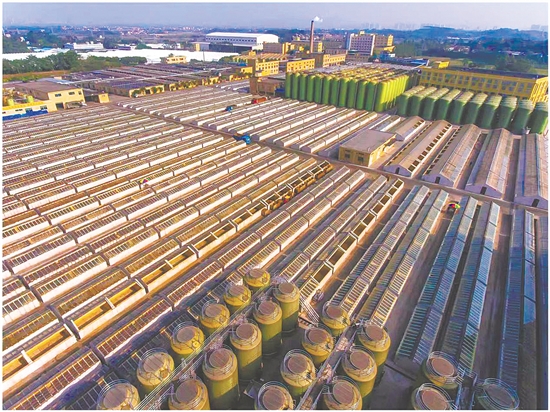 鶴山市東古調(diào)味食品有限公司。