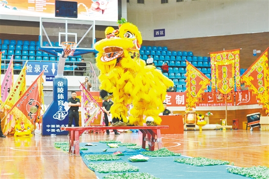 17支醒獅隊伍齊聚一堂，以獅會友，展現(xiàn)鶴山獅藝的獨特魅力。