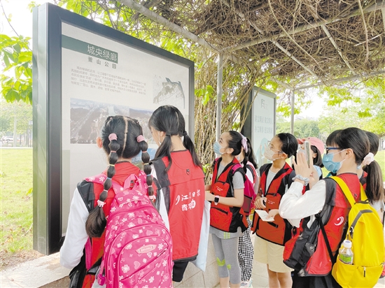 小記者們邊走邊看，感受江海城市品質(zhì)提升。