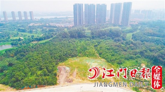 蓬江區(qū)豬乸環(huán)地段地塊實景圖。