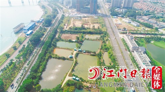 濱江大道旁地塊實(shí)景圖。