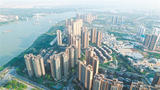 外海板塊樓盤多了起來。