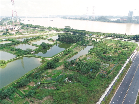 成交地塊西側(cè)為一線西江，景觀一流。