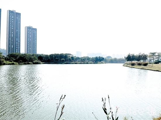 近年來，江門居住環(huán)境越來越好。