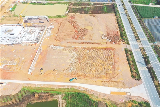 江門市JCR2025-65（開平06）號地。