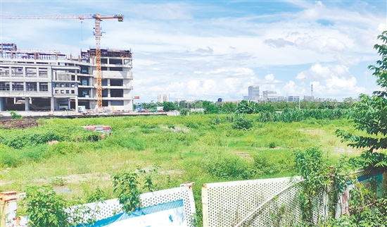 江門市JCR2025-100（新會18）號地。