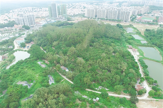 江門市JCR2025-188（臺(tái)山27）號(hào)地。