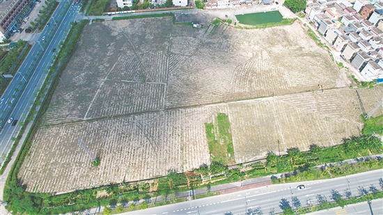 今年9月，開(kāi)平市富元房地產(chǎn)開(kāi)發(fā)有限公司以總價(jià)1.1億元拿下開(kāi)平市長(zhǎng)沙街道樓岡大道24號(hào)地塊。