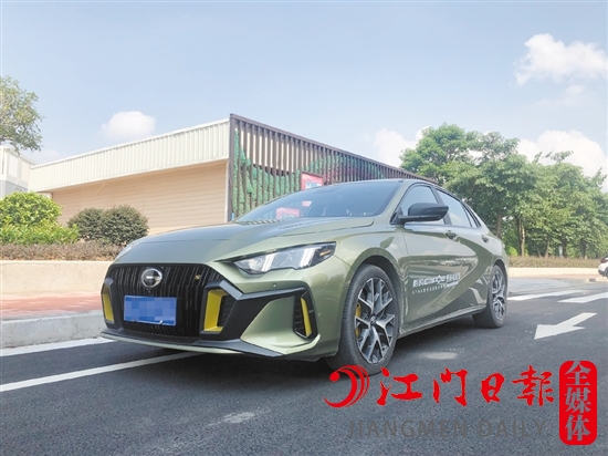 影豹的外觀運(yùn)動(dòng)感十足。