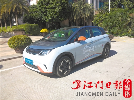 海豚外觀年輕、可愛。