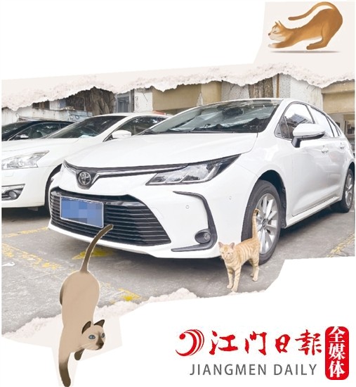 車主停車時，盡量減少停在流浪貓出沒的地方。