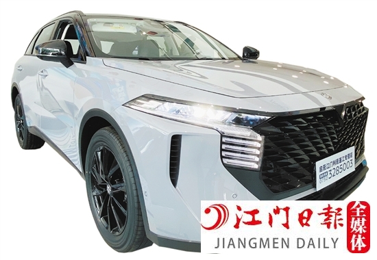 自主品牌 自主品牌